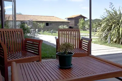 two wooden benches sitting on a wooden table with a potted plant at Albergue Turistico Salceda in Salceda