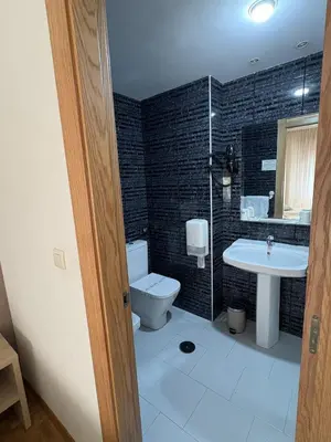 a bathroom with a toilet and a sink at Hotel El Molinón in Cangas del Narcea