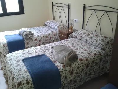 a bedroom with three beds with a cat sleeping on them at Casa Rosi. Cumbres borrascosas Brañuelas in Villagatón