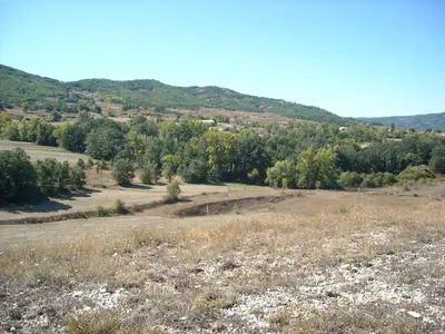 an open field with trees in the distance at Casa Rosi. Cumbres borrascosas Brañuelas in Villagatón