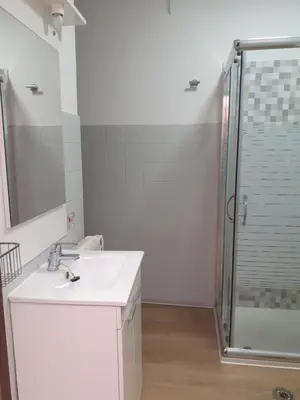 a bathroom with a sink and a shower at Pensión Río Umia in Caldas de Reis
