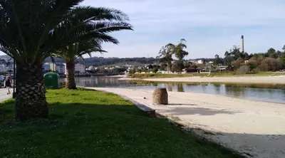 a beach with two palm trees next to a body of water at San Cibrao,belleza y tranquilidad. in San Ciprián