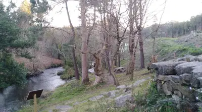 a river with a group of trees next to a river at San Cibrao,belleza y tranquilidad. in San Ciprián