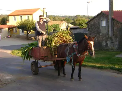a man standing on a horse drawn cart at Stone Cottage FISTERRA in Curtis