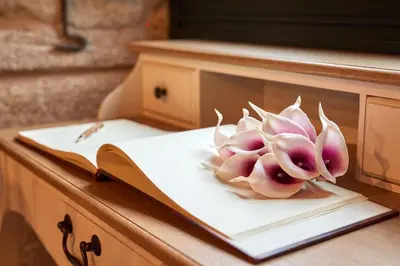 two pink flowers sitting on top of a book at Casa Entera A Ferradura in Melide