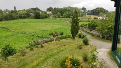 a green field with a tree and a road at Casa do Pacio Sabadelle in Lugo