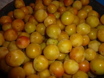 a pile of oranges and other fruit in a bowl at Casa do Pacio Sabadelle in Lugo