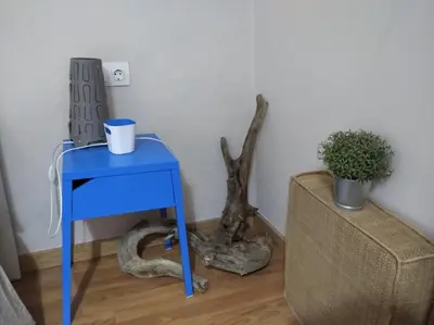 a blue table in a living room with a plant at A Casa do Calexón in Viveiro