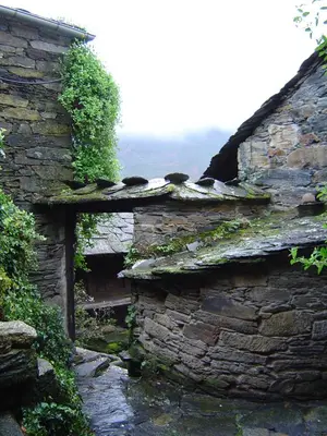 an old stone building with ivy growing on it at Casa O´Crego in San Román