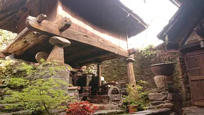 a garden with a wooden house with a roof at Casa O´Crego in San Román
