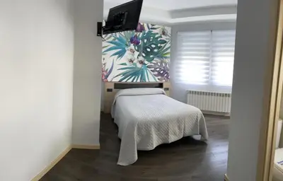 a room with a bed and a tv on a wall at Pensión A Carballeira in Villalba