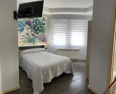 a bedroom with a bed and a tv on a wall at Pensión A Carballeira in Villalba