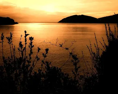 a body of water with a sunset in the background at A&L Centro in Viveiro