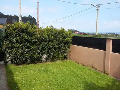 a yard with green grass and two bushes at Casiña de Folgosa in Ribadeo
