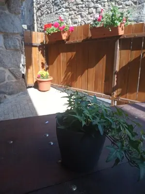 a potted plant sitting on a table next to a patio at Apartamento do Xurés in Maus de Salas