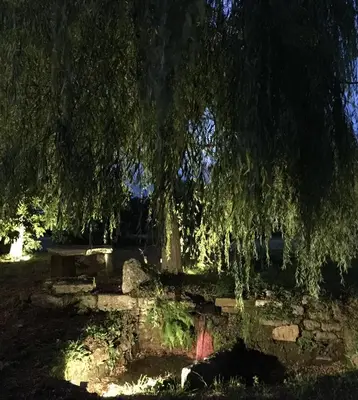 a weeping willow tree hanging over a stone wall at Pazo de Laia in Palas de Rei