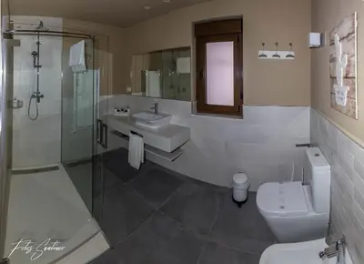 a bathroom with a toilet and a sink and a shower at Apartamentos Buenavista Tineo in Tineo