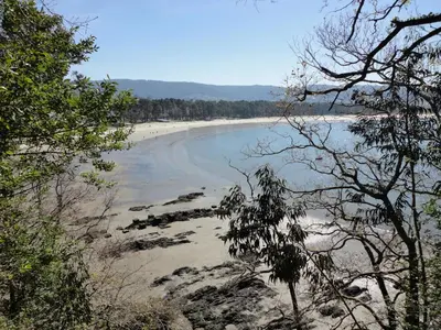 a view of a beach from a hill with trees at Hotel Sarga in Cabañas