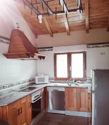 a kitchen with a sink and a stove top oven at Casa de aldea Amezaga in Taramundi