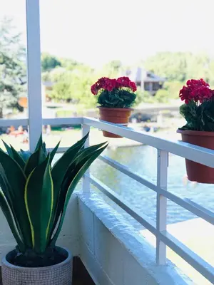 three potted plants sitting on a railing on a balcony at Casa de la Playa in Vega de Espinareda