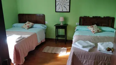 two beds in a room with green walls at Casa do Gaiteiro - Casa de Aldea en O Pereiro in Pereiro
