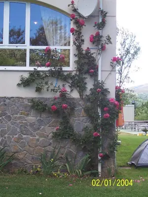 a house with roses on the side of it at Hotel La Mora in Villaseca de Laciana