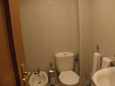 a bathroom with a toilet and a sink at Hotel La Mora in Villaseca de Laciana