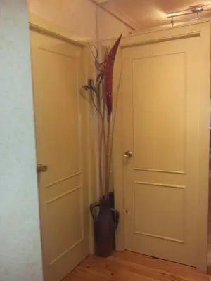 a hallway with a vase next to a door at Precioso PISO en Villafranca del Bierzo in Villafranca del Bierzo