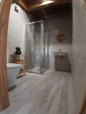 a bathroom with a shower and a toilet and a sink at Casa Perdigueira in Castromayor