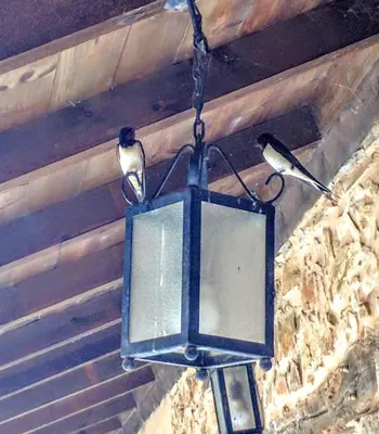 two birds sitting on top of a street light at Albergue Rural Las Águedas in Murias de Rechivaldo