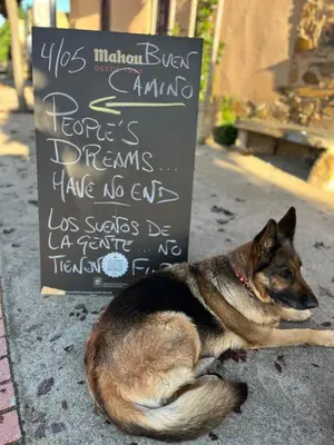 a dog laying on the ground next to a sign at Albergue Rural Las Águedas in Murias de Rechivaldo