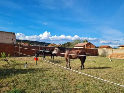 two horses standing in a field behind a fence at Albergue Rural Las Águedas in Murias de Rechivaldo