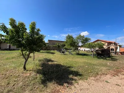a tree in the middle of a grass field at Albergue Rural Las Águedas in Murias de Rechivaldo