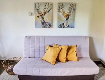a gray couch with yellow pillows in a room at El Mirador de Sanabria in Galende