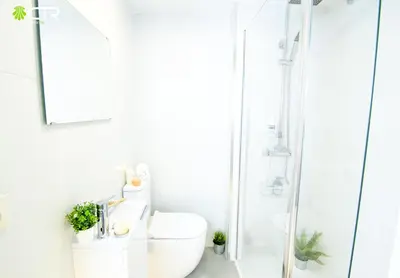 a white bathroom with a toilet and a shower at CON PARKING, LocalizacIon Sensacional in Santiago de Compostela
