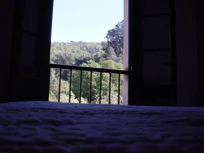 a bedroom with a window with a view of a forest at Casa en Viñoas (Ribeira Sacra) in Viñoás