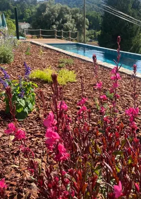 a garden with pink flowers and a swimming pool at Pena De Roca in Pontevedra