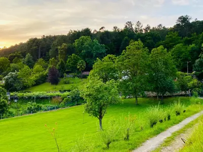 a green field with a tree and a dirt road at Pena De Roca in Pontevedra