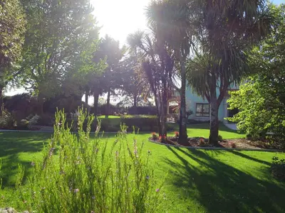 a yard with palm trees and a house at Casa da Agra in A Coruña
