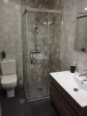 a bathroom with a shower and a toilet and a sink at Alojamiento Buenos Aires in Ourense