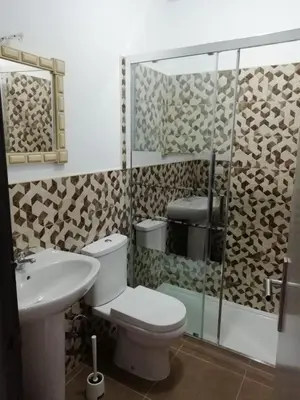 a bathroom with a toilet and a sink at Casona de Rabanal-Oca in Rabanal del Camino