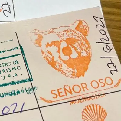 SEÑOR OSO