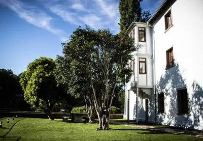 a tree in a yard next to a white building at A Casa da Botica in Samos