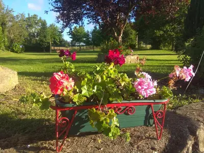 a pot of flowers on a table in the grass at Casa Valle in Foz
