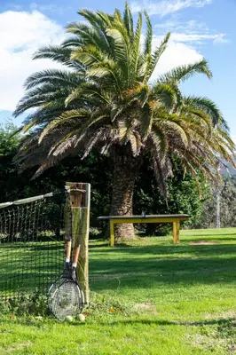 a person standing next to a palm tree with a tennis racket at Apartamentos Porcia in Tapia de Casariego