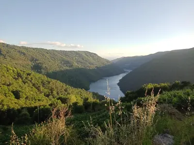 a view of a river in a valley at Apartamento Lemavos in Monforte de Lemos