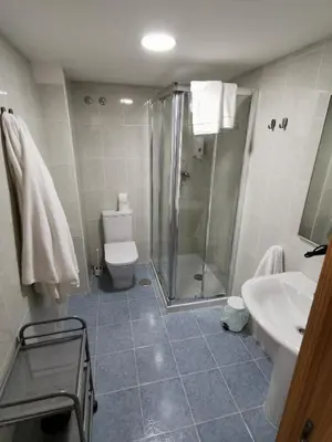 a bathroom with a shower and a toilet and a sink at Duerming Family Viveiro 4 Rooms in Viveiro