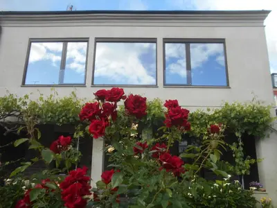 a group of red roses in front of a house at XARDÍN DE ESTRELAS *** in Sarria