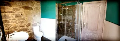 a bathroom with a shower and a toilet and a stone wall at Casa de Anamá in Entrecinsa