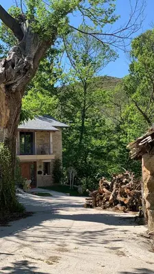 a house with a pile of logs next to a tree at Casa de Anamá in Entrecinsa